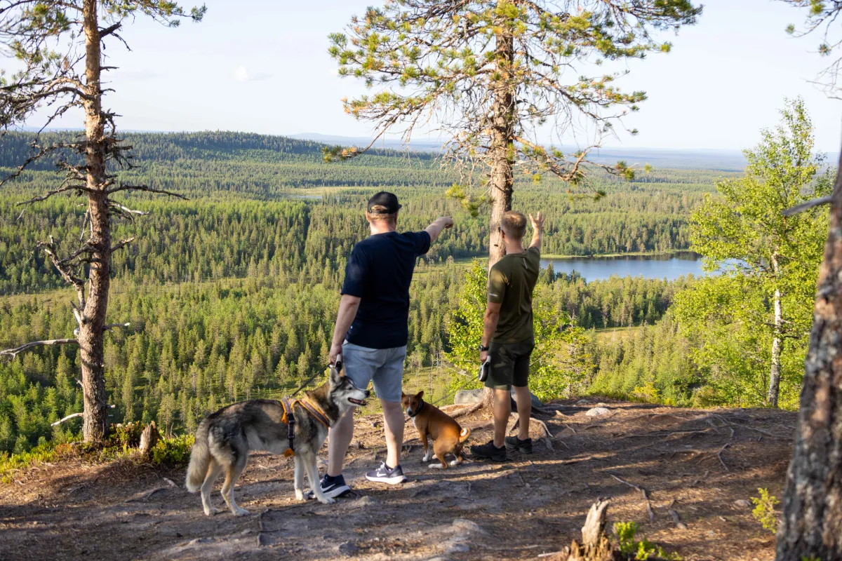 Hikers and a dog at the top of Konttainen Hill in Kuusamo.