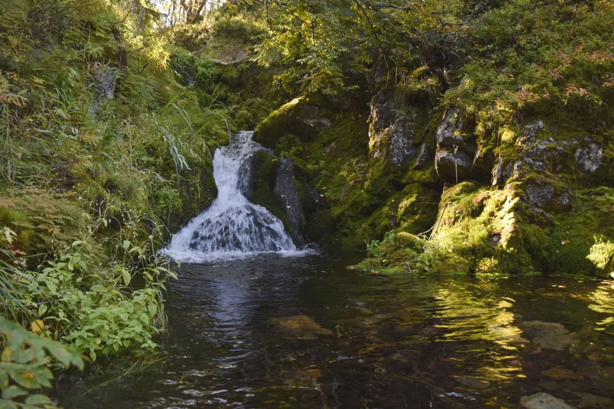 A waterfall in the Ylläs wilderness.