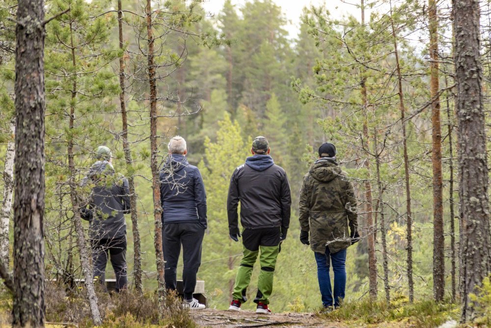 Suomen metsät ovat suosittuja ulkoilukohteita. Vierailijat voivat nauttia vaellus-, telttailu-, marjastus- ja sienestys-, kalastus- ja muusta metsäisistä aktiviteeteista. On tärkeää muistaa noudattaa vastuullisia ulkoilukäytäntöjä, kuten pysyä merkityillä poluilla, olla häiritsemättä luontoa ja kunnioittaa luontoa.